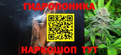 тгк Дубна