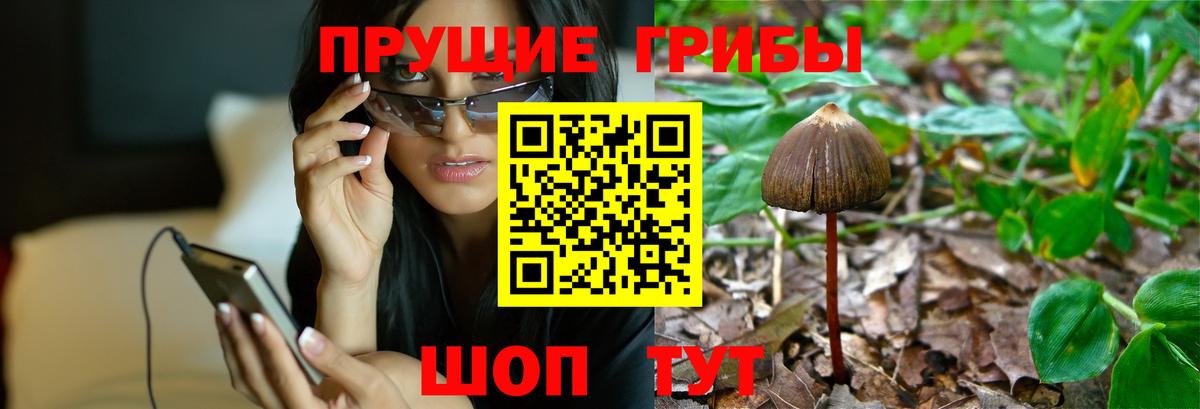 Канск  Псилоцибиновые грибы мицелий  Вход с VPN 